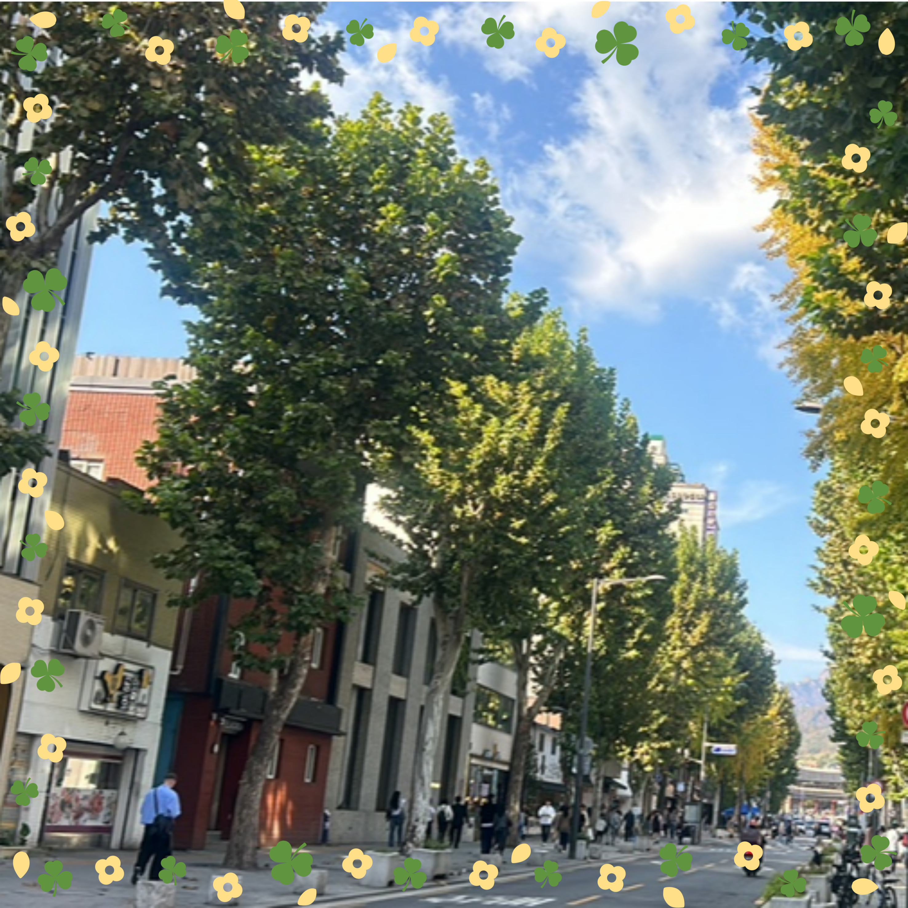 서울 핫플 서순라길