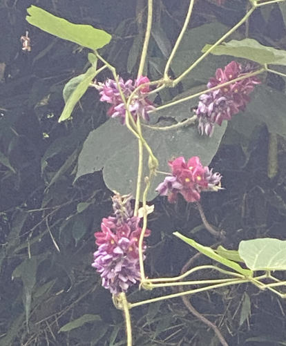 Alt 속성 문제 해결 설명 이미지