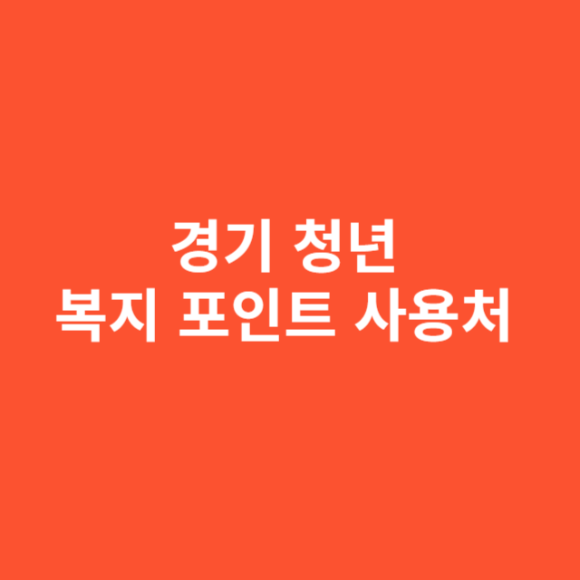 경기 청년 복지 포인트 사용처, 실제 사용 후기와 주의할 점