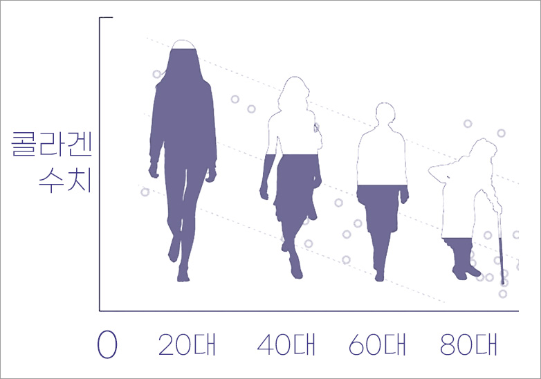 연령대별 콜라겐 수치의 변화