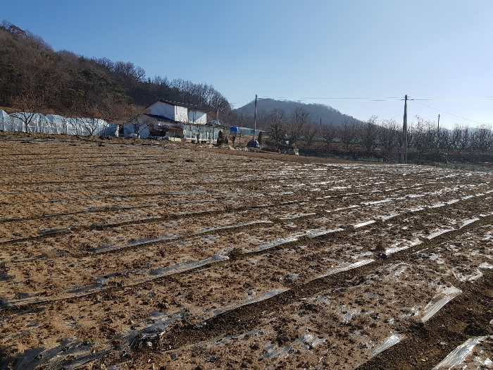 논산지원2021타경2666 본건 기호(1)토지 전경 : 북서측에서 촬영