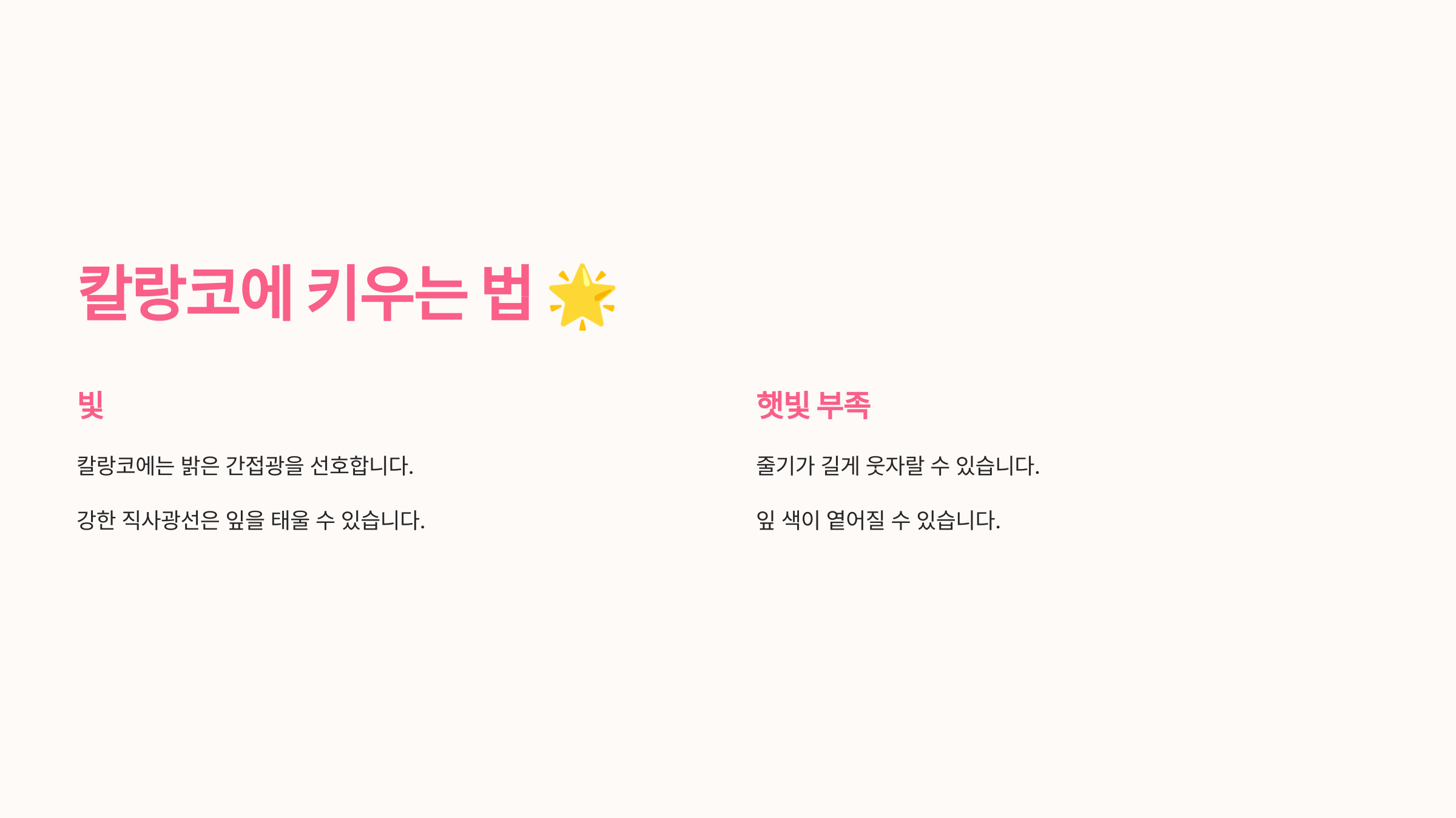 칼랑코에 사진입니다.