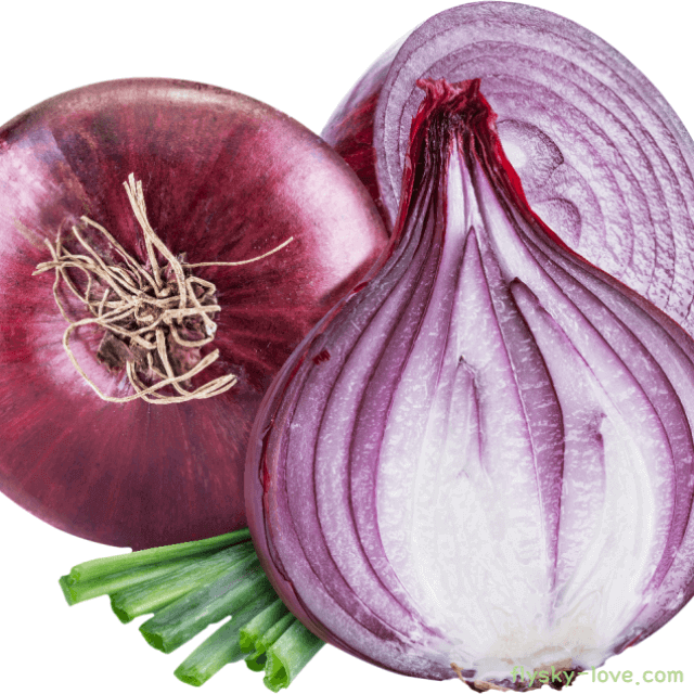자색 양파 효능