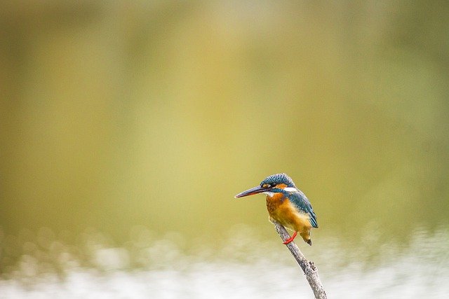 2022년 2월 23일 수요일 예배