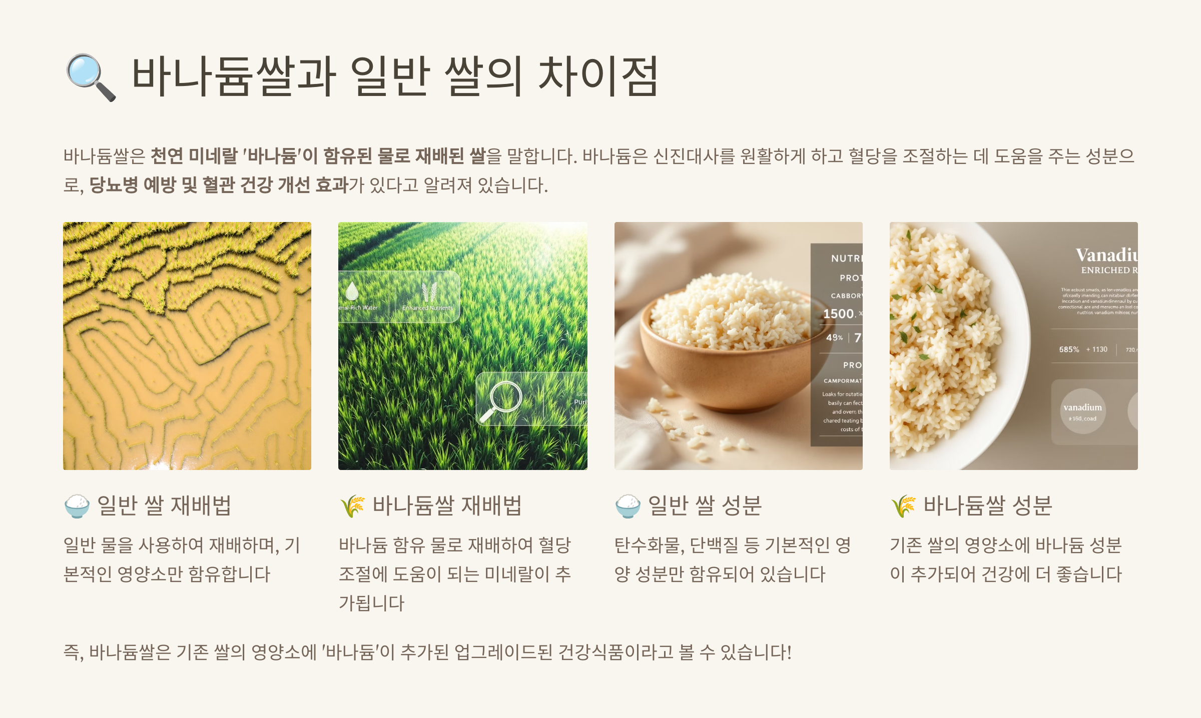 바나듐쌀과 일반쌀의 차이점