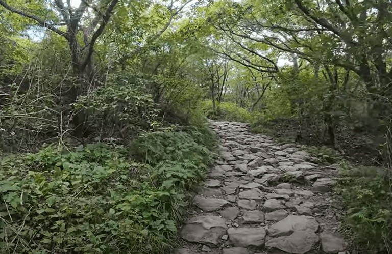 지리산 쉬운코스 노고단