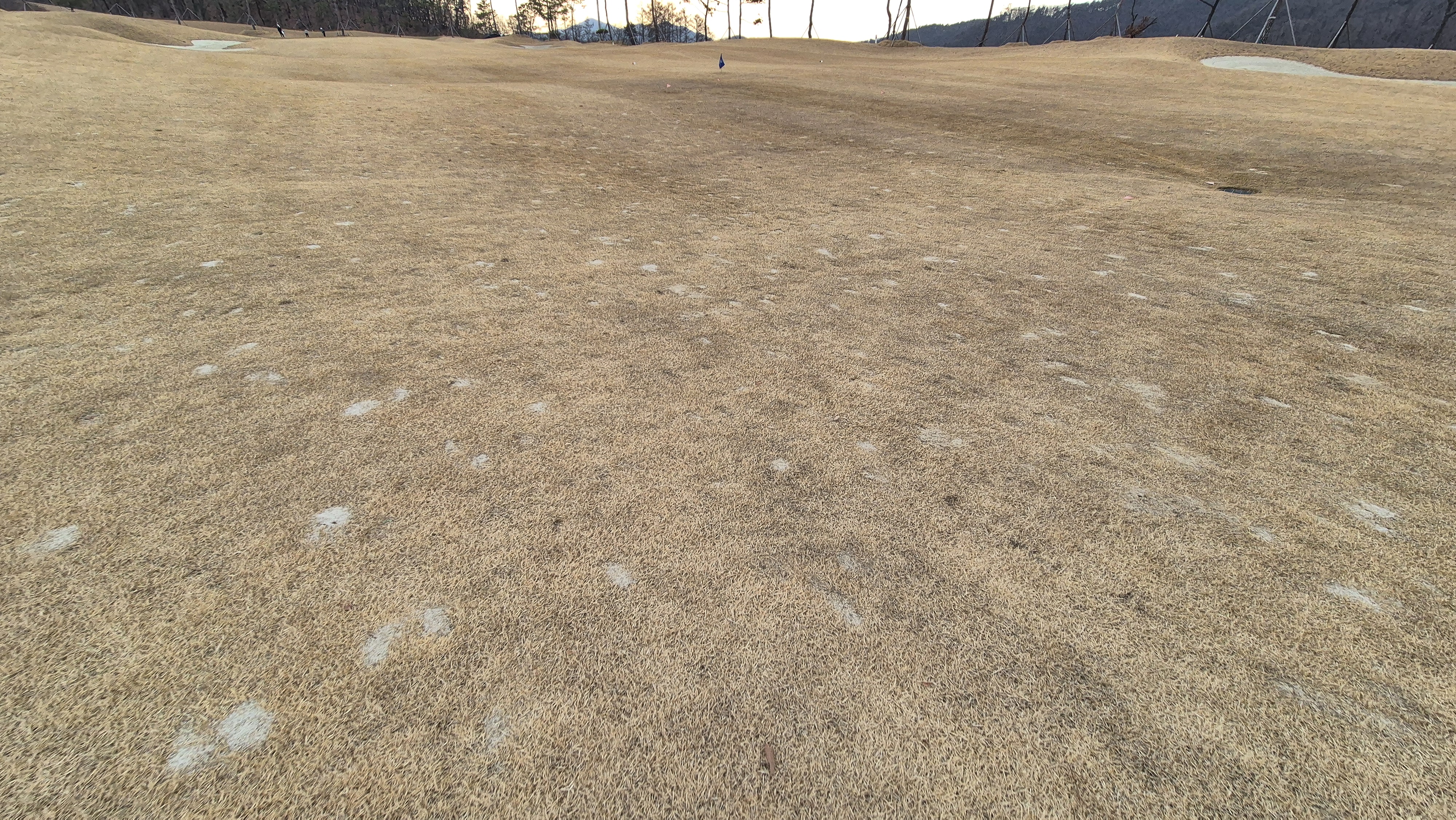 모나크cc 라운드 후기 코스난이도