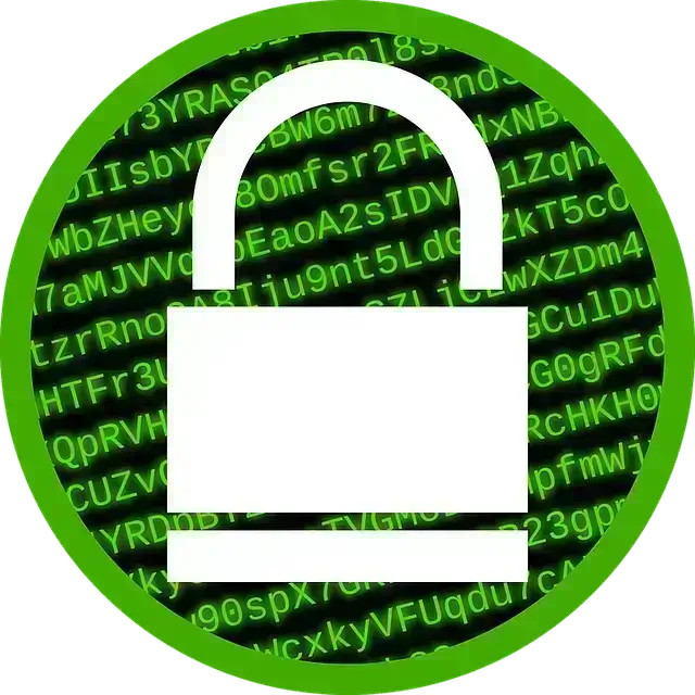 구글해킹대처가이드-초록색원안에자물쇠그림