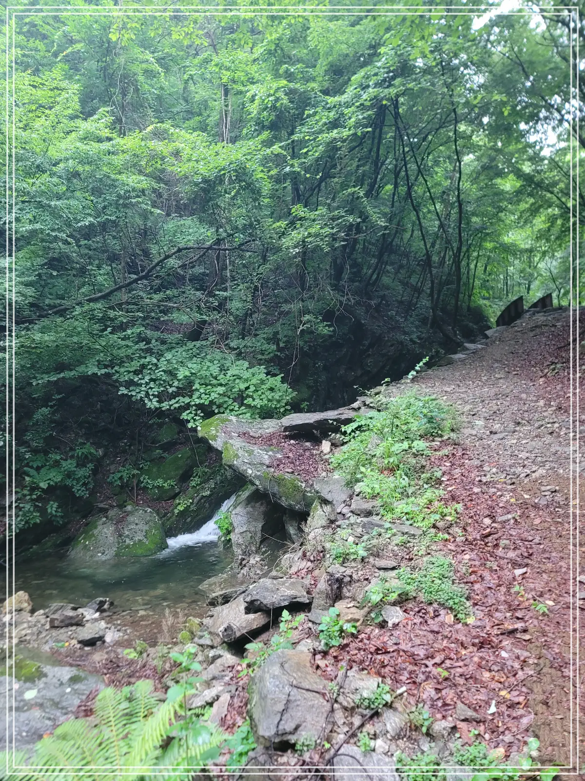 무주채폭포-진입산길