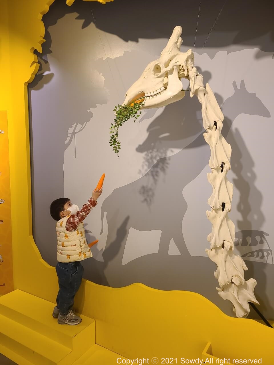 기린에게 당근을 주는 우리 2호