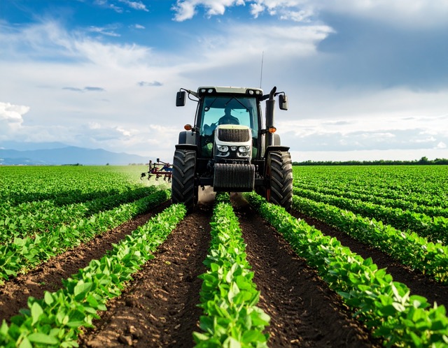 서리태 모종 시기