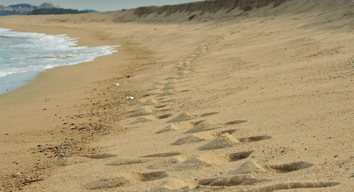서울 근교, 평일에 가야 진짜 예쁜 숨은 코스