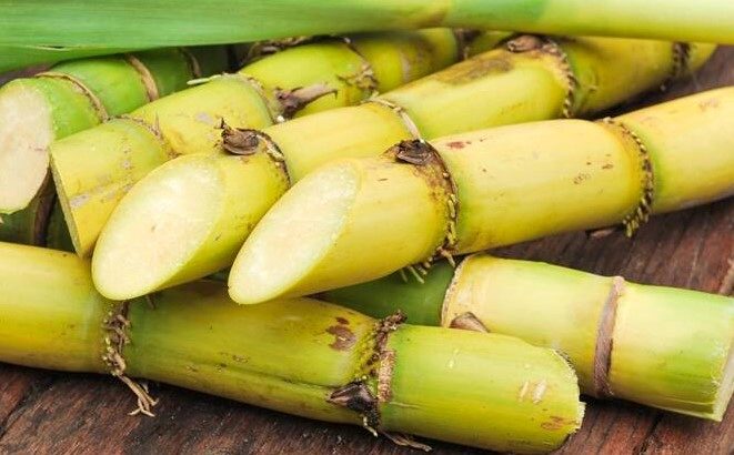 옥타코사놀이란