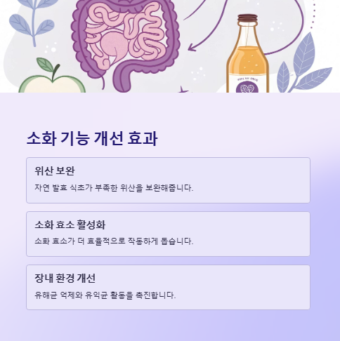 소화 기능 개선 효과