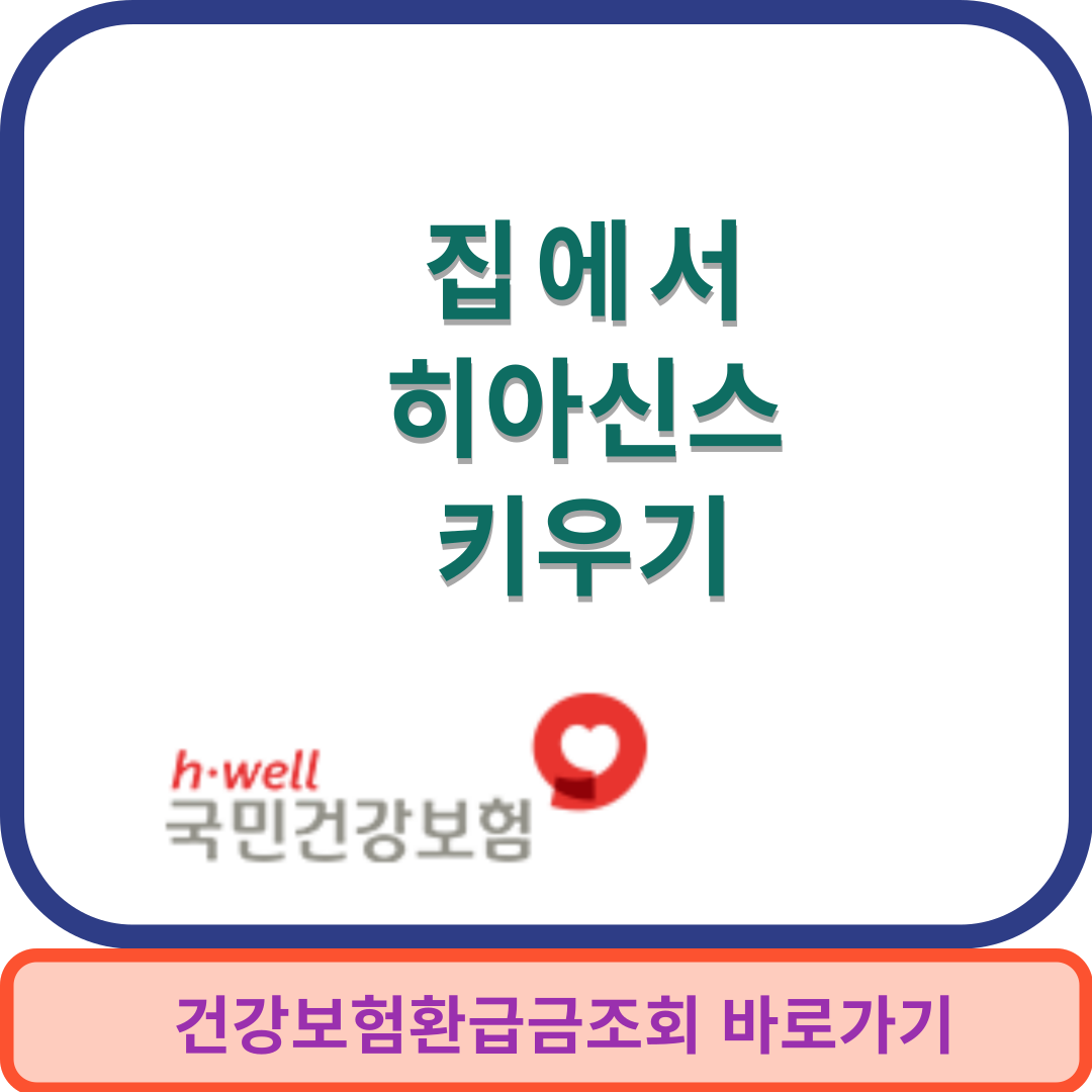 히아신스썸네일