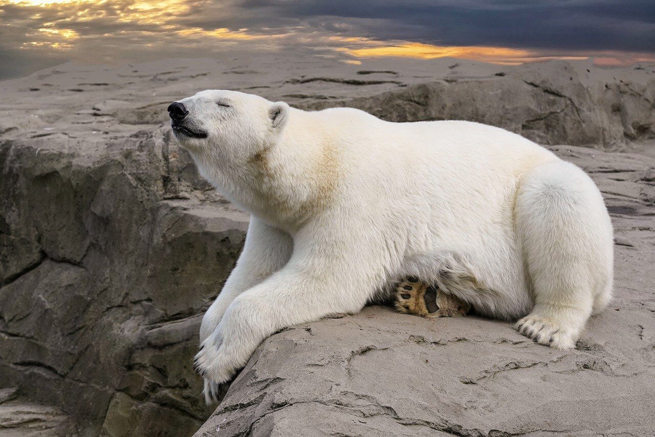 기후 변화가 물 공급에 미치는 영향