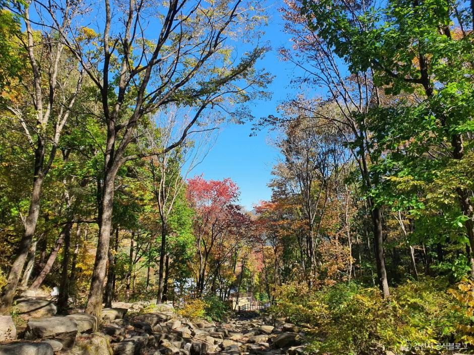 김천 가볼만한곳 베스트10