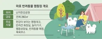 서울 마포 반려동물 캠핑장 도심 속 힐링 명소 가이드_22
