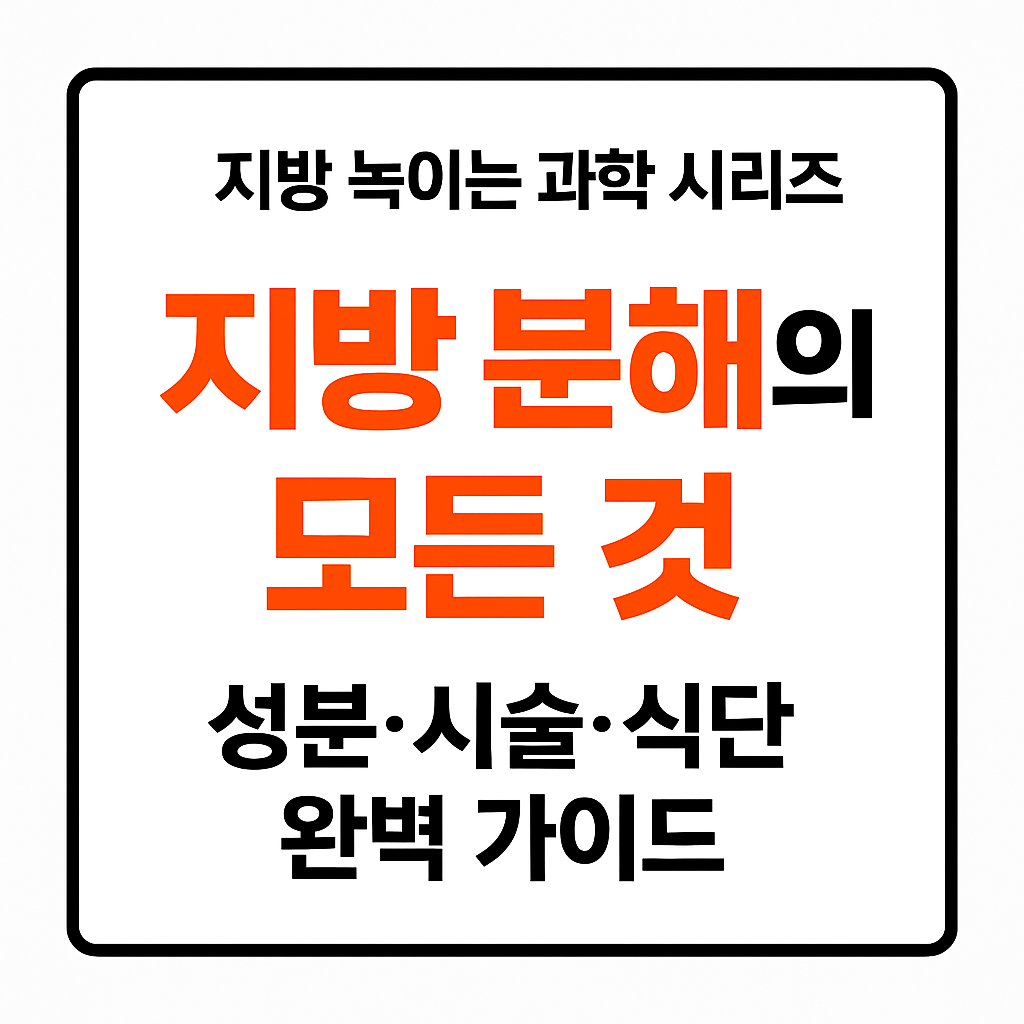 지방 분해의 과학 시리즈 총정리 — 성분·복용·시술·루틴 완벽 가이드