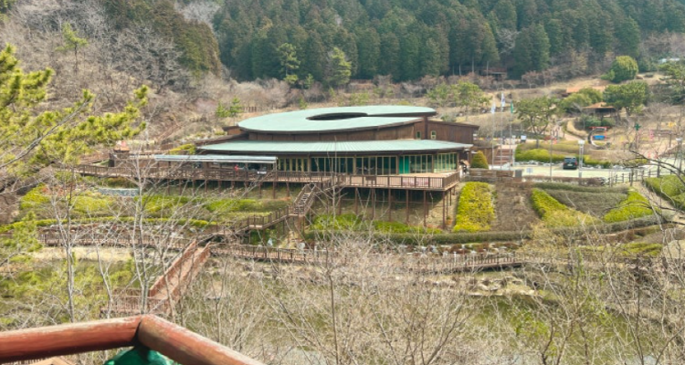 진해 드림파크