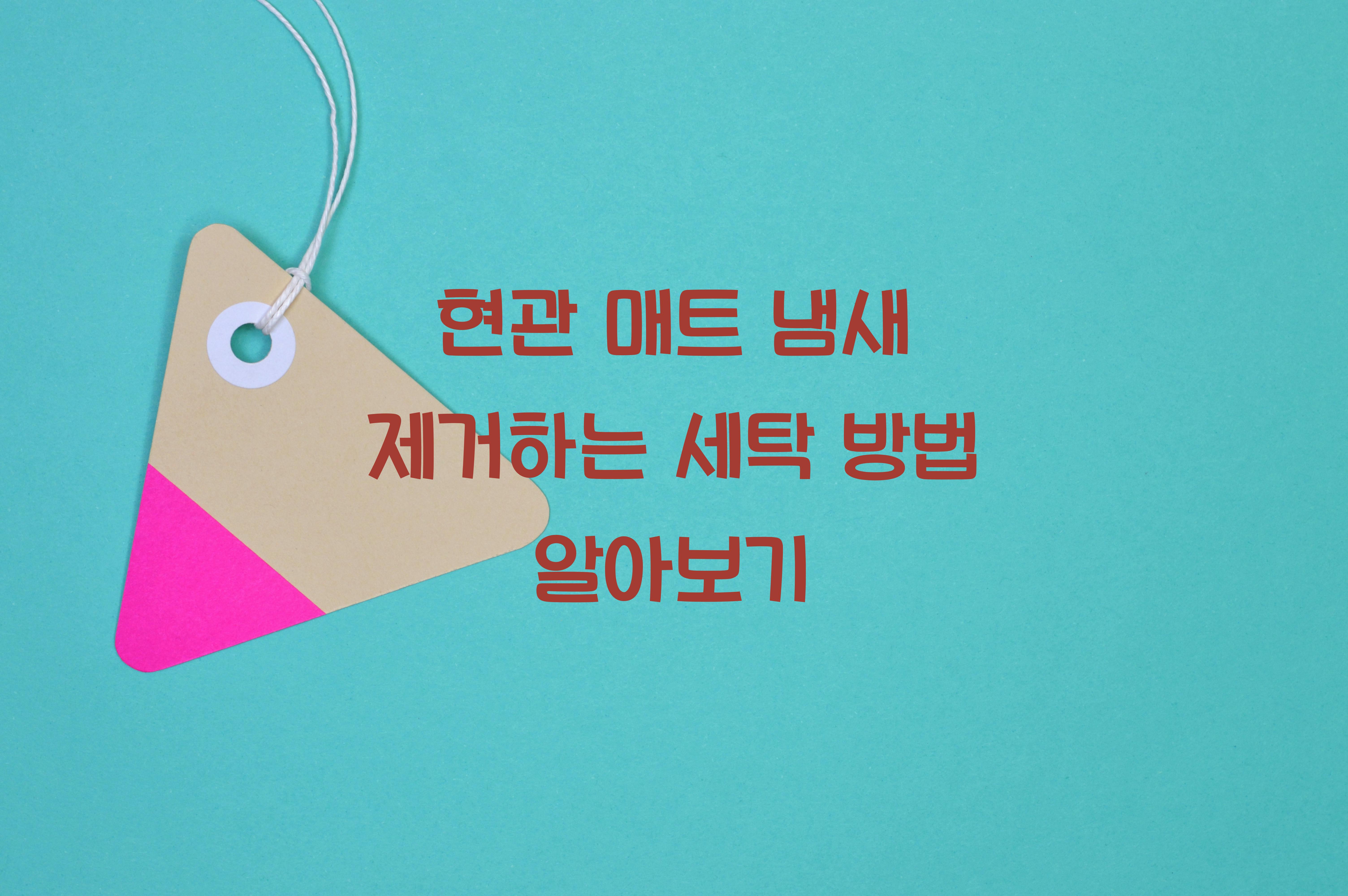 현관 매트 냄새 제거하는 세탁 방법