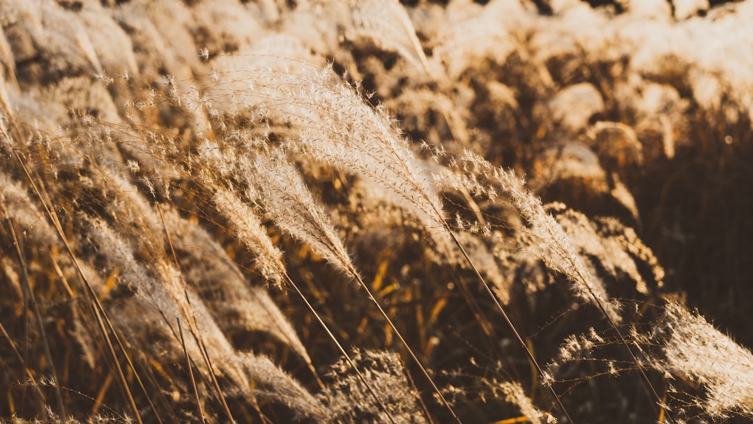 Daegu apartment sale