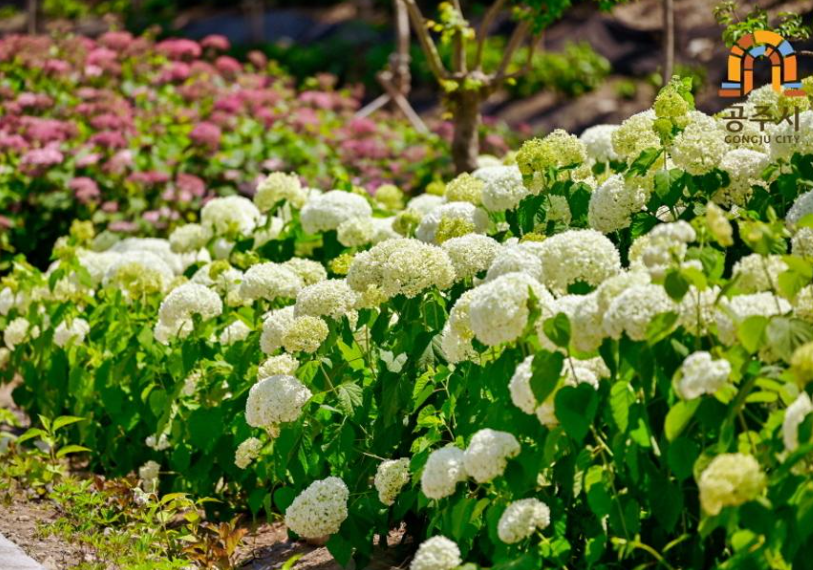 공주 가볼만한곳 베스트10