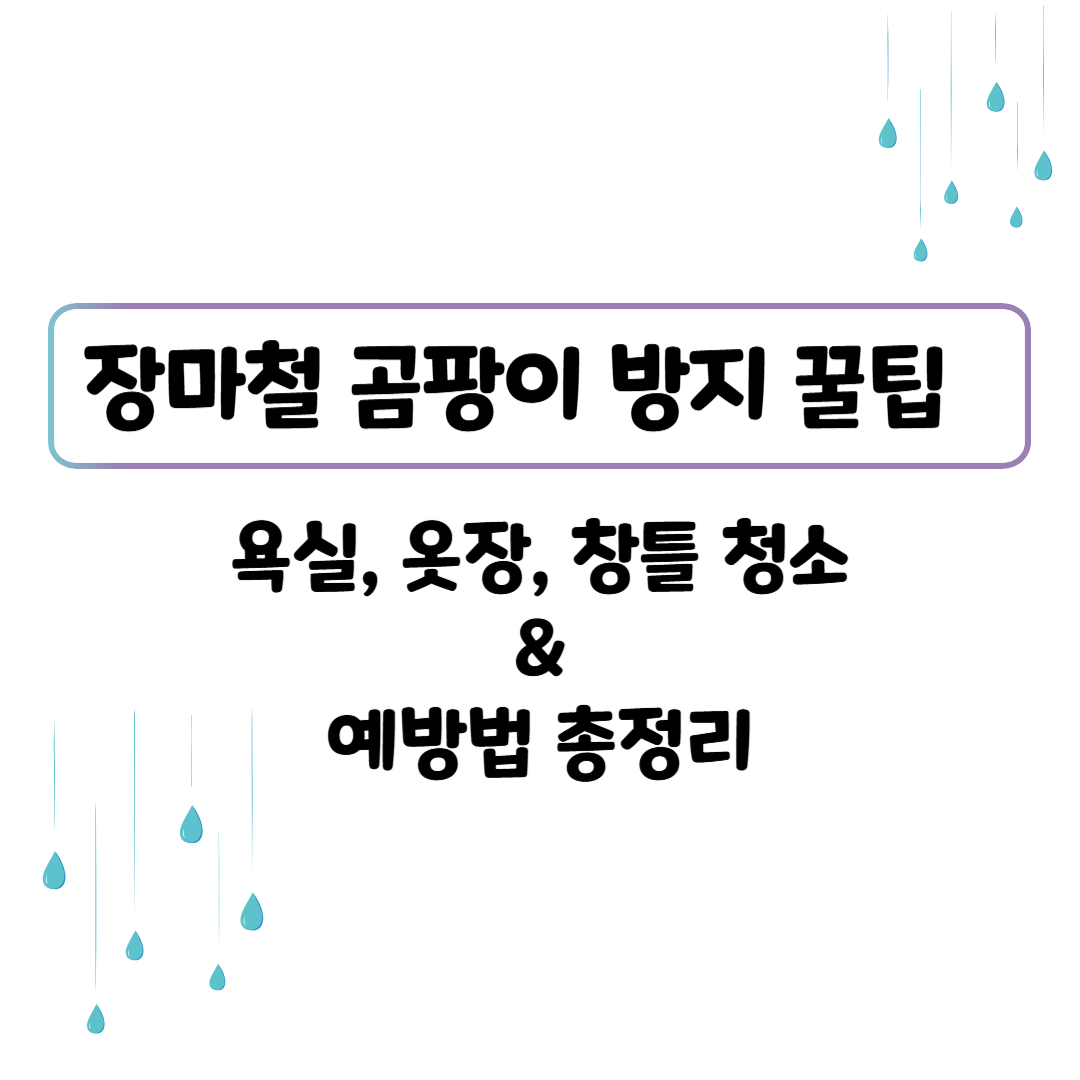 장마철 곰팡이 방지 꿀팁 – 욕실, 옷장, 창틀 청소 & 예방법 총정리