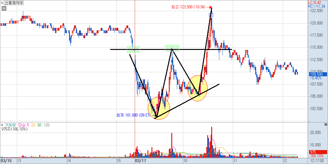 신풍제약우 차트 예시 이미지