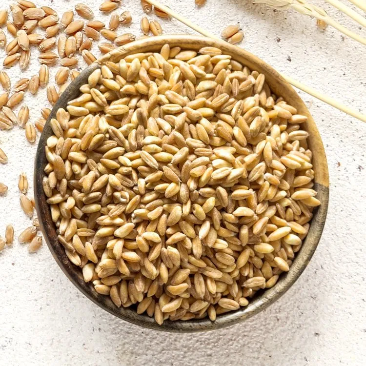 파로 곡물 효능 부작용 먹는 방법_4