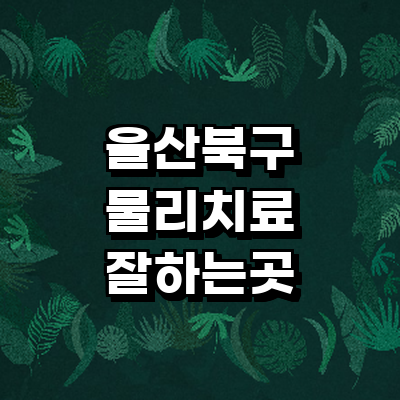 울산 북구 정형외과