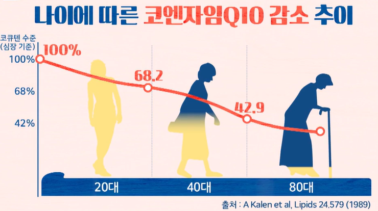 코엔자임큐텐의 효능