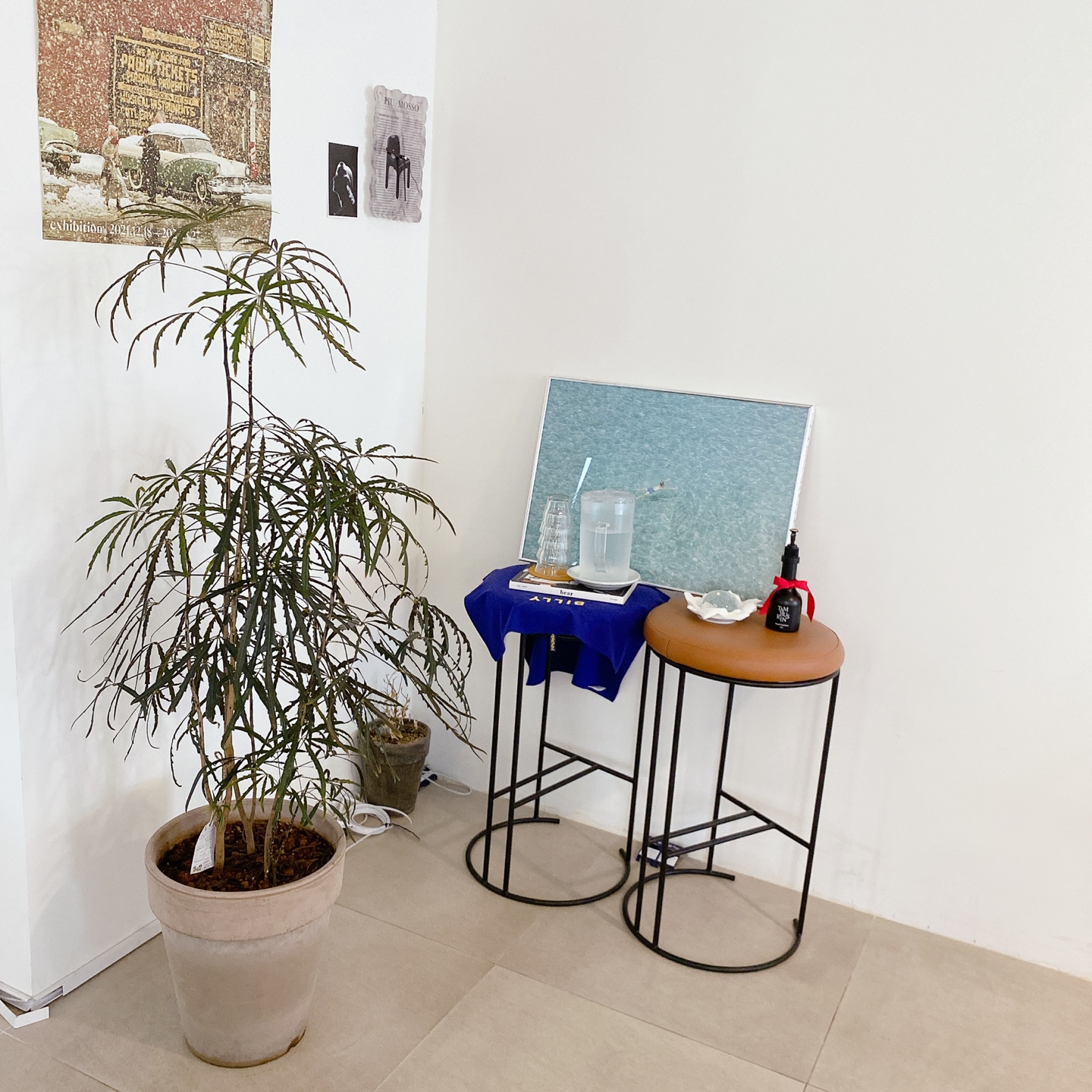 제주 공항근처 이도이동 제주도민 카페 3초기억 카페 금붕어 주차 리뷰 추천