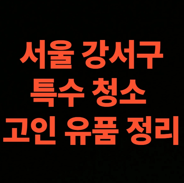 서울 강서구 유품정리 업체 후기 아파트 방청소 가격