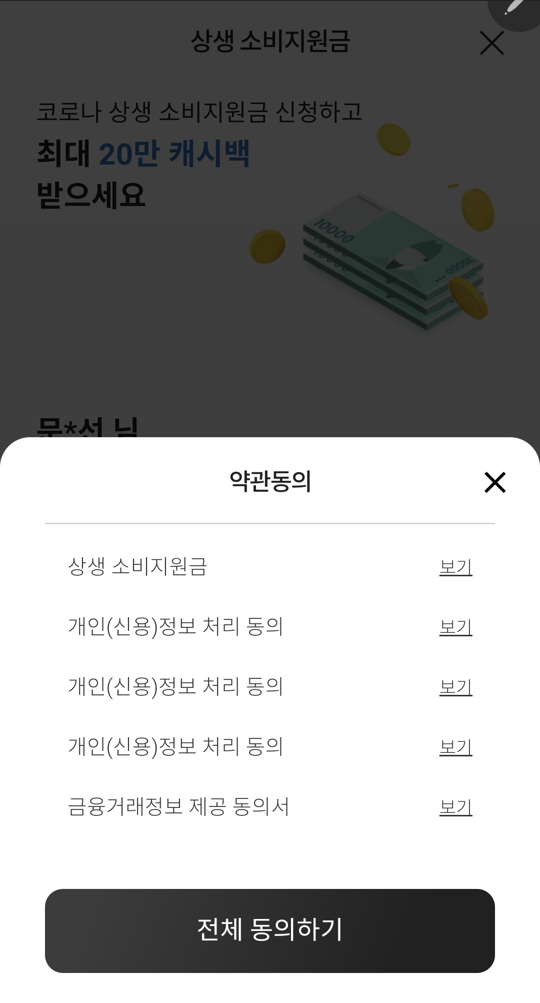 상생 소비지원금 대상자 확인