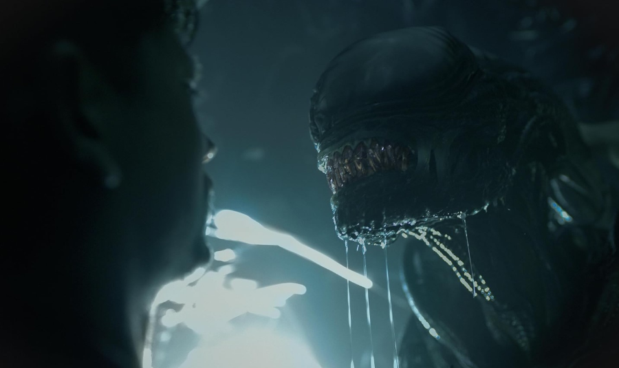 에어리언 로물루스 스틸컷