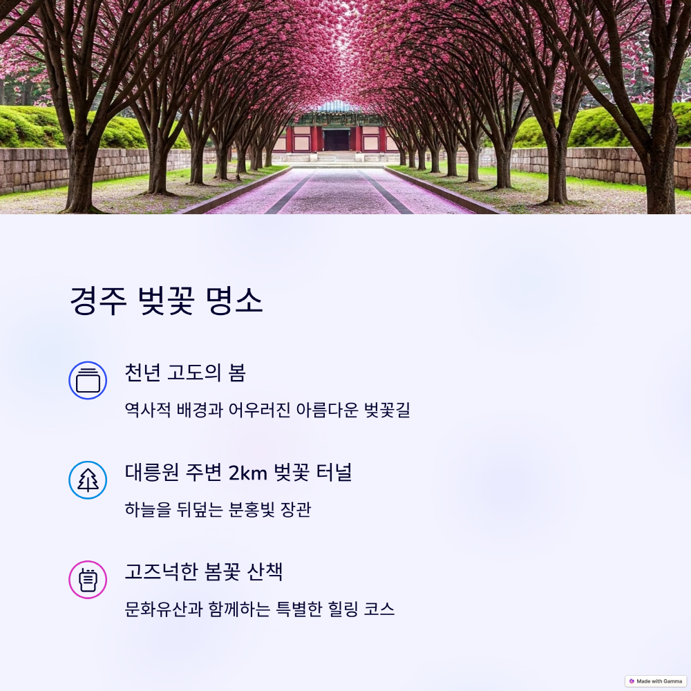 경주 벚꽃 명소