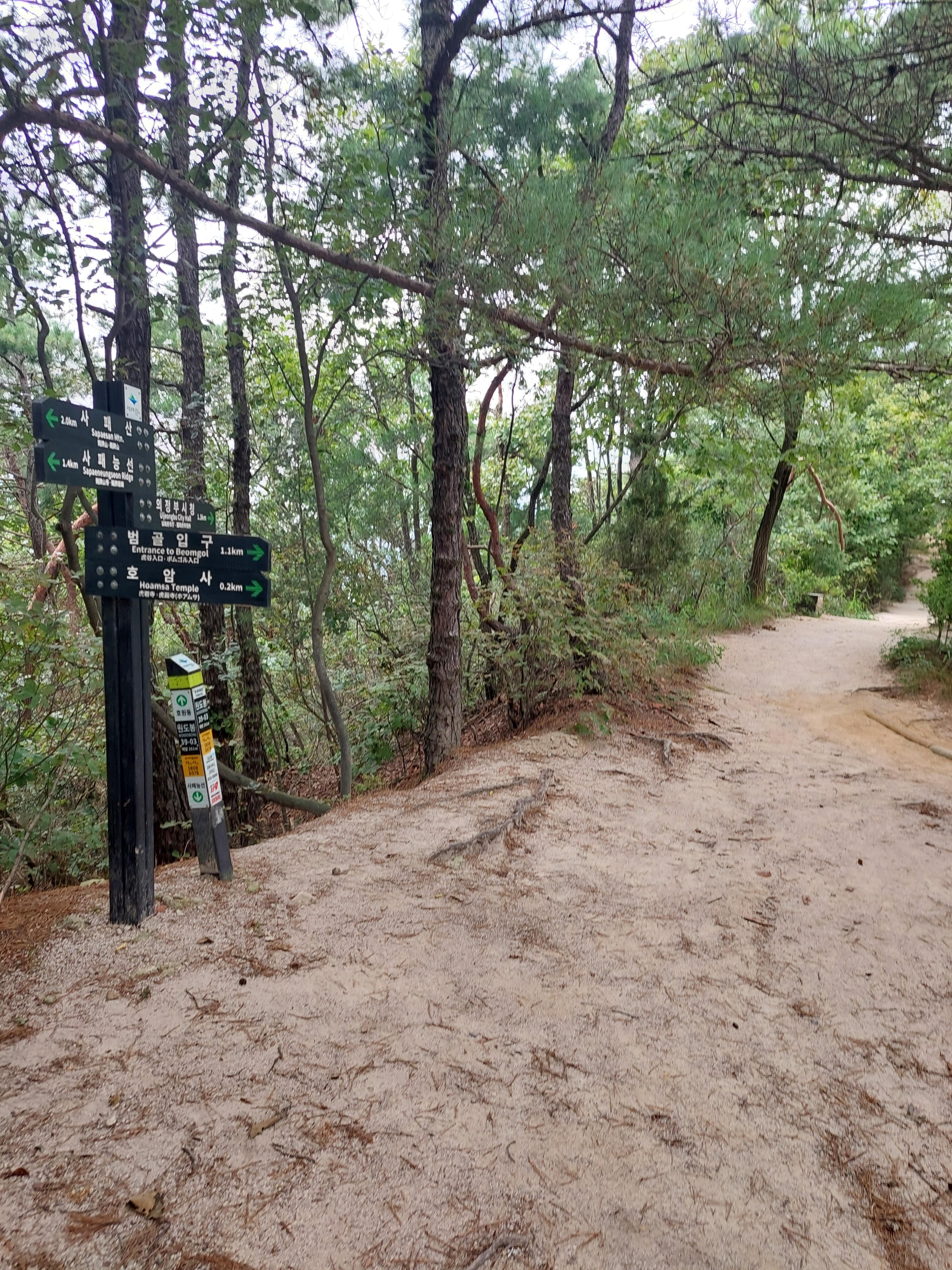 사패산