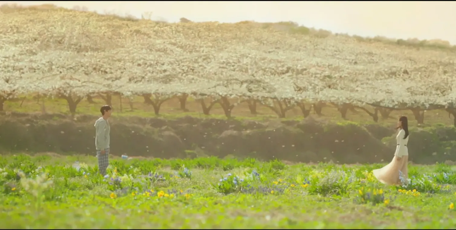 눈물의 여왕 예산 헬기 배밭