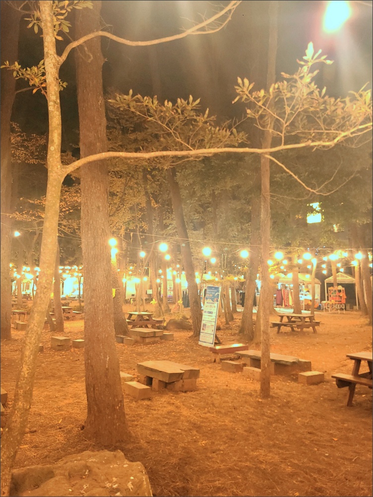 수목원길야시장-사진2