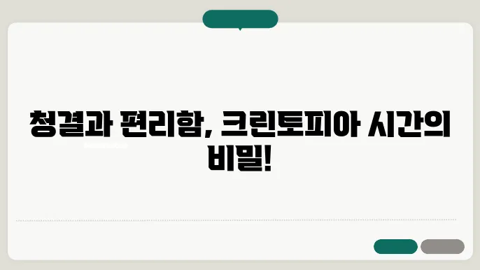 크린피아 영업시간