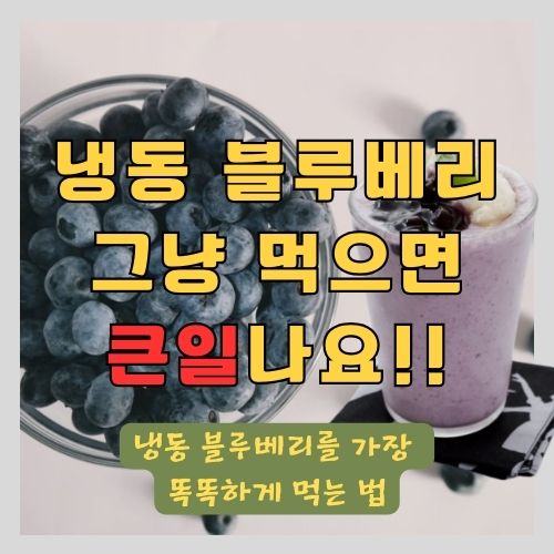 냉동 블루베리 먹고 병원 가는 이유와 영양성분 높이는 스무디 레시피 썸네일