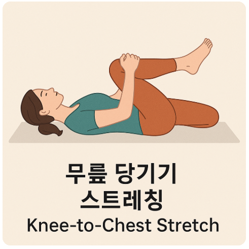 무릎 당기기 스트레칭