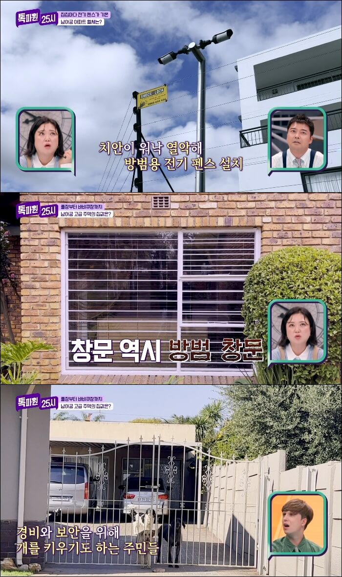 남아프리카공화국-치안