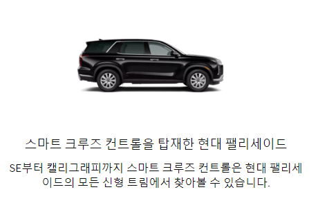 크루즈 컨트롤 차종