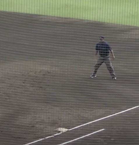 baseball