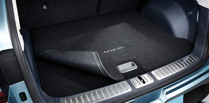 제네시스-전기차