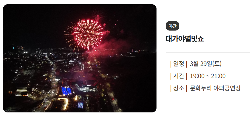 2025 고령 대가야 축제 별빛쇼