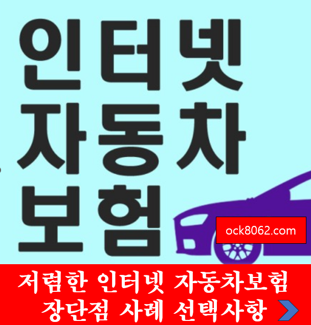 저렴한 인터넷 자동차보험 장단점 사례 선택사항