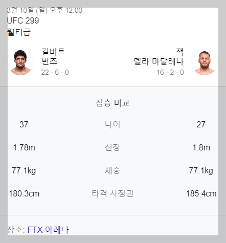 ufc 299 경기일정